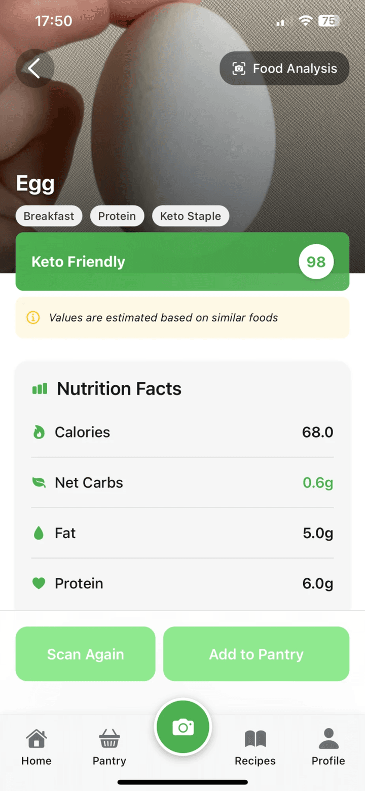 Visual Food Scanning screen in the KetoSnap AI app